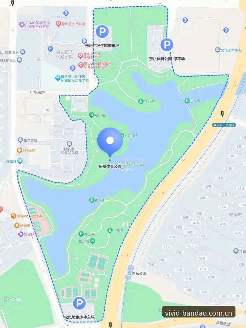 半岛体育综合App登录入口对比完整指南：多维度分析助你高效选择