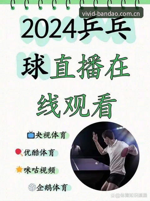 资深用户分享：半岛体育体育直播实战使用心得与行业趋势观察